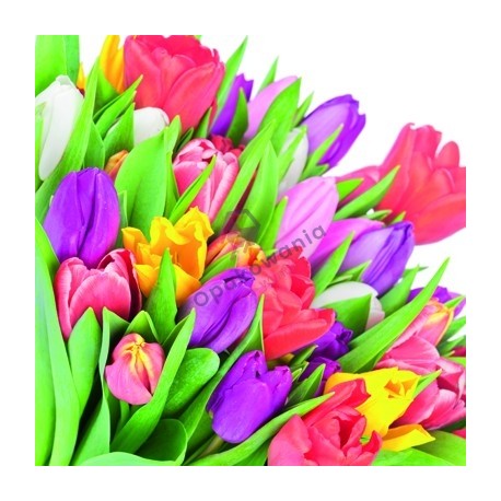 Serwetki tulipany 3W 33x33 20szt KW069