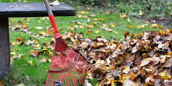 Sprzątamy ogrody – co robić z opadłymi liśćmi jesienią?